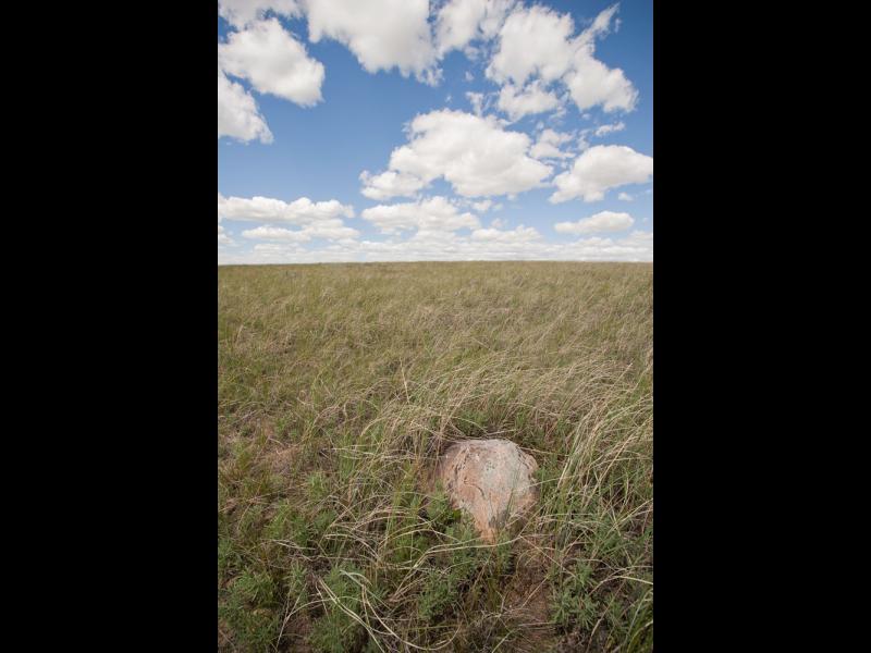 Bear Paw Battlefield, Where Chief Joseph Surrendered, Montana, 2008 by Sue Reynolds