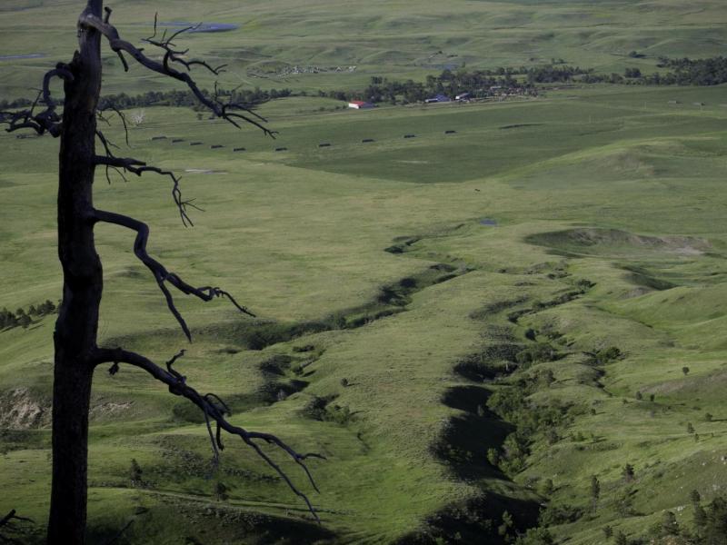 Prairie and Ranches From Bear Butte, Black Hills of South Dakota, 2009 by Sue Reynolds