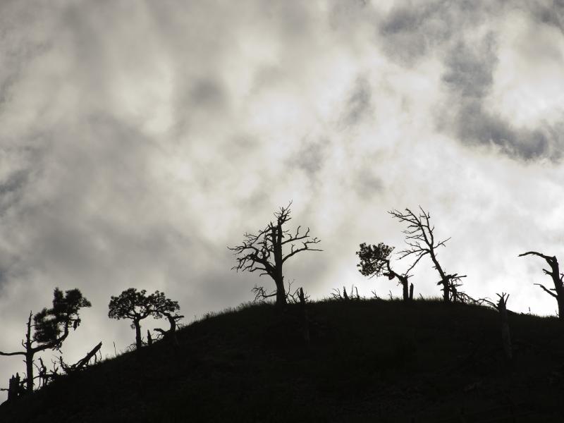 Evening Sky Over Bear Butte, Black Hills, South Dakota, 2008 by Sue Reynolds