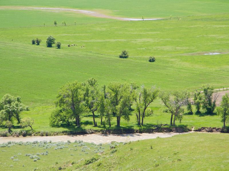 Little Big Horn River, Little Big Horn National Battlefield, Crow Reservation, Montana, 2011 by Sue Reynolds