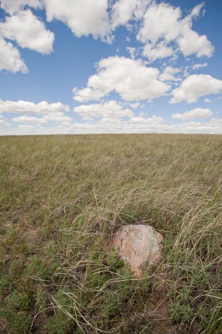 Bear Paw Battlefield, Where Chief Joseph Surrendered, Montana, 2008 by Sue Reynolds