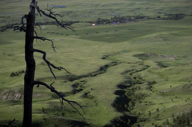 Prairie and Ranches From Bear Butte, Black Hills of South Dakota, 2009 by Sue Reynolds
