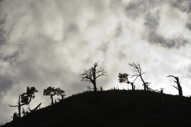 Evening Sky Over Bear Butte, Black Hills, South Dakota, 2008 by Sue Reynolds